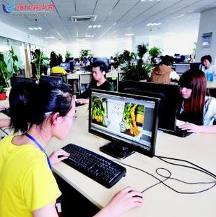 创新品牌驱动数字文化创意软件开发的新篇章